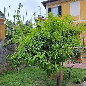 Affittacamere Antonella Affittacamere